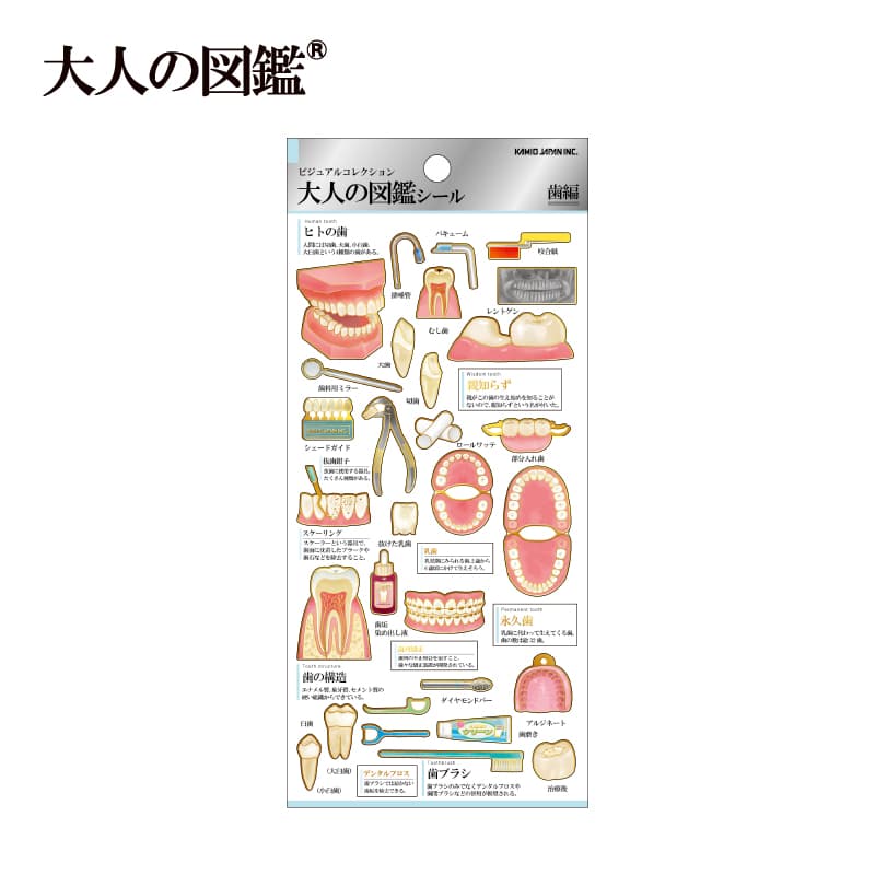 大人の図鑑シール/歯 | 商品カテゴリーから探す,ステーショナリー