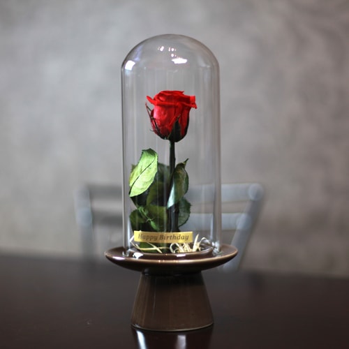 赤い薔薇 プリザーブドフラワー ガラスドーム | プリザーブドフラワー