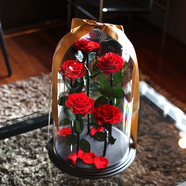 赤薔薇 プリザーブドフラワー デスティニーローズ5本 | スタイルから
