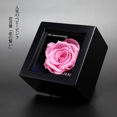 薔薇 プリザーブドフラワー ミニメッセージ黒BOX | プリザーブド