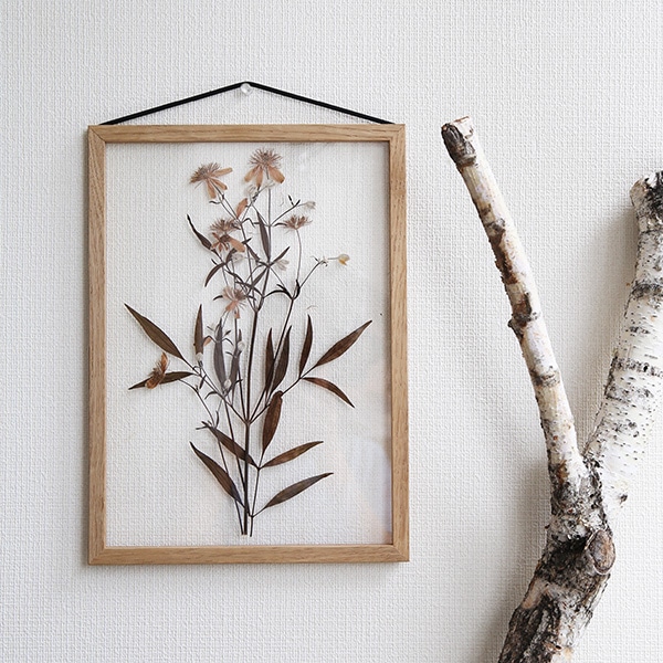 MOEBE (ムーベ) FRAME フレーム A4 オーク アクリル板/ポスター/額縁