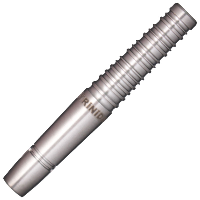 トリニダード サルディバル3 TRiNiDAD SALDIVAL TYPE3 中西永吉 ダーツ