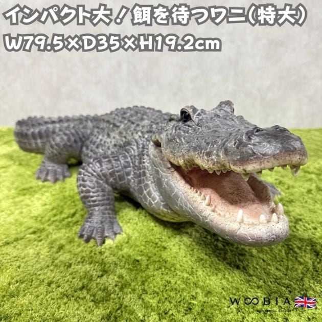 置物 餌を待つワニ 特大 横幅79.5cm 鰐 woobia ウービア 大きい
