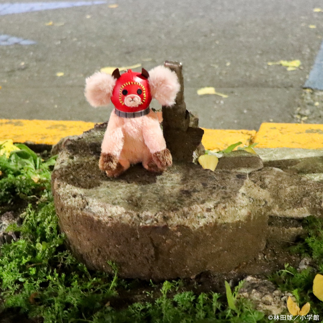 ドロヘドロ キクラゲマスコットぬいぐるみキーホルダー | 特集から探す