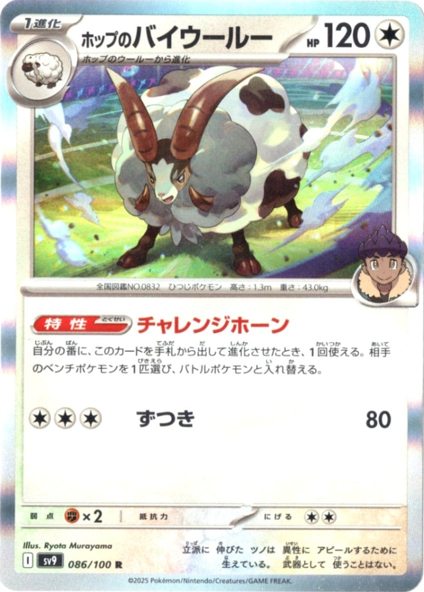 拡張パック,バトルパートナーズ | ポケットゾーン