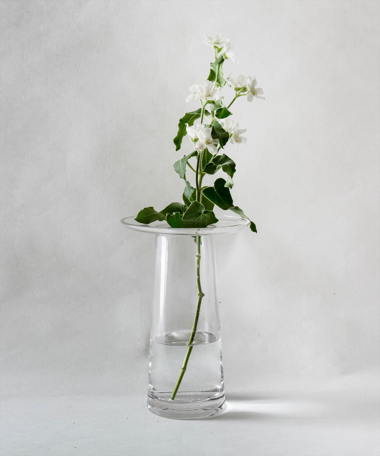 b2c フラワーベース ブリムタイプ S（クリア） #SALE | インテリアデコ