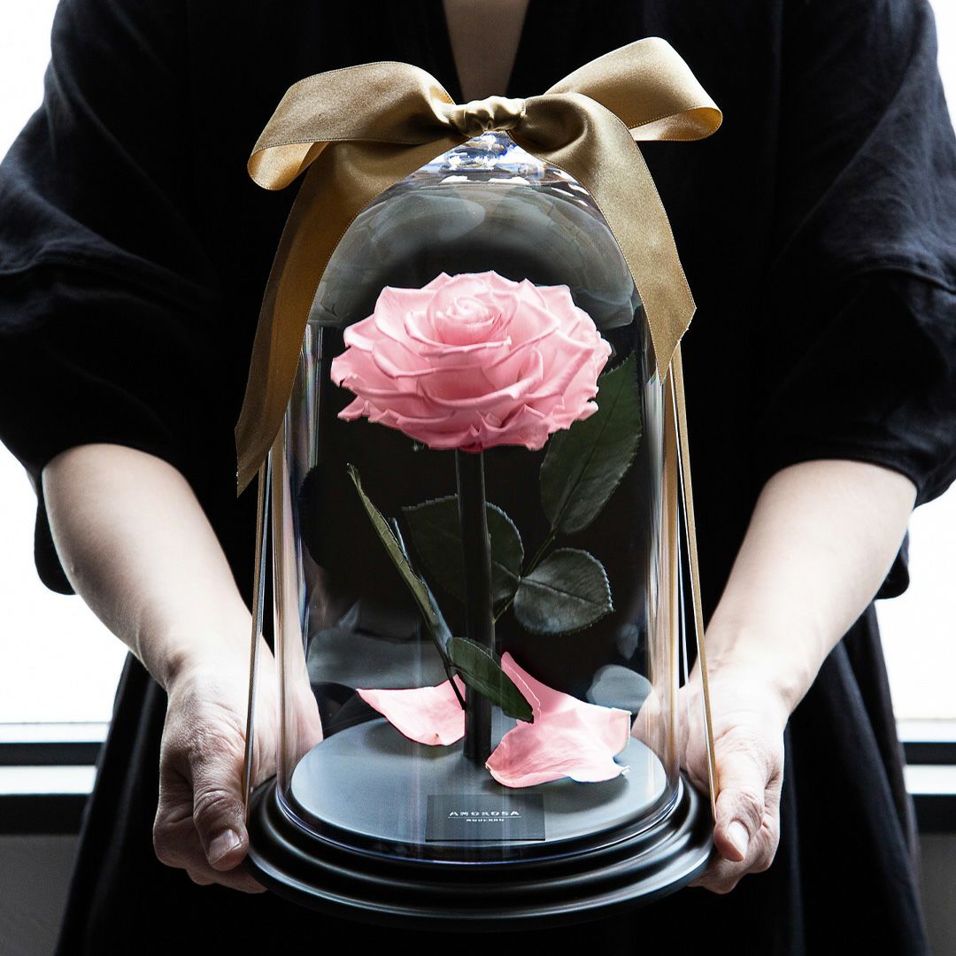 デスティニーローズ(1本立ち)/フェミニンピンク （プリザーブド