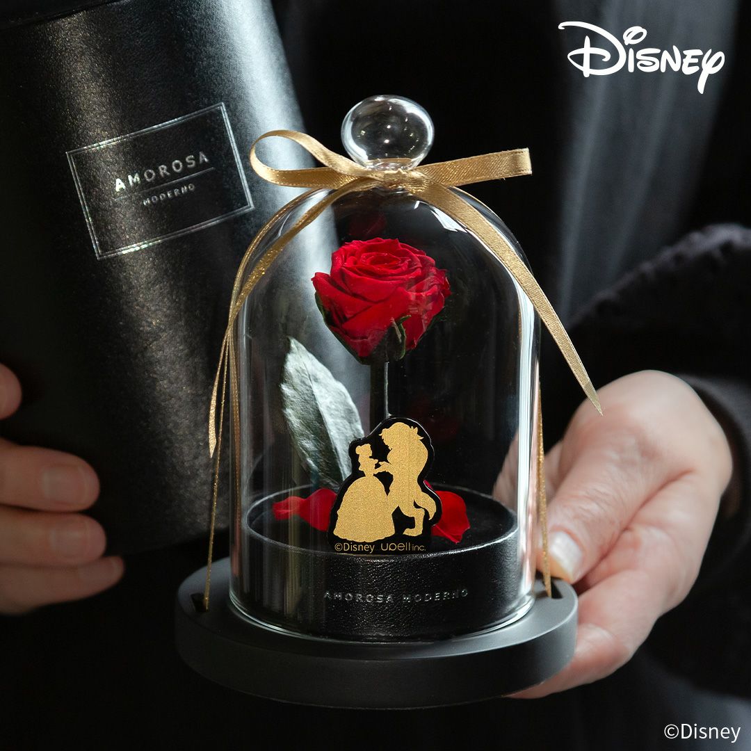 リトルベルディズニーエディション(美女と野獣) （プリザーブド