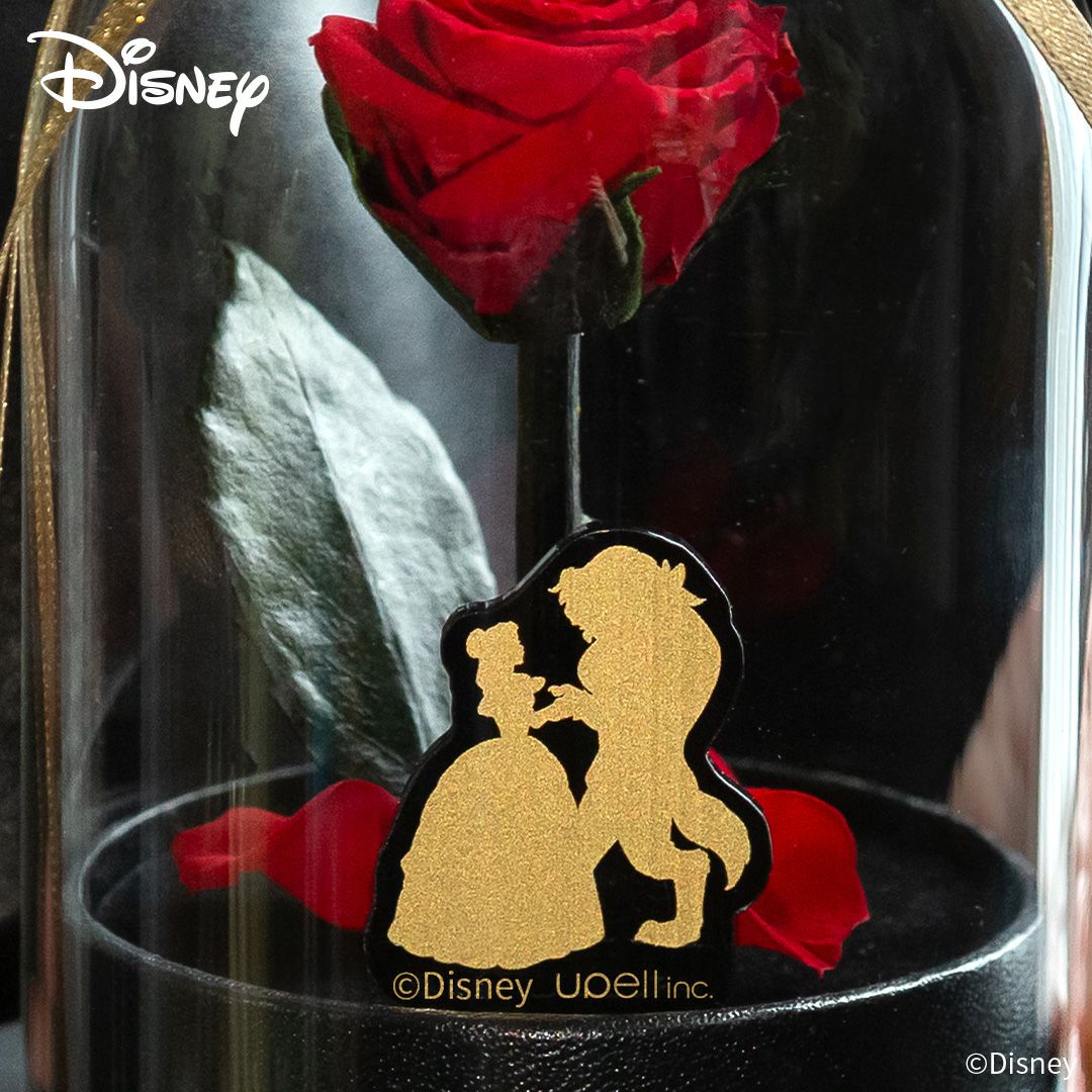 リトルベルディズニーエディション(美女と野獣) （プリザーブド