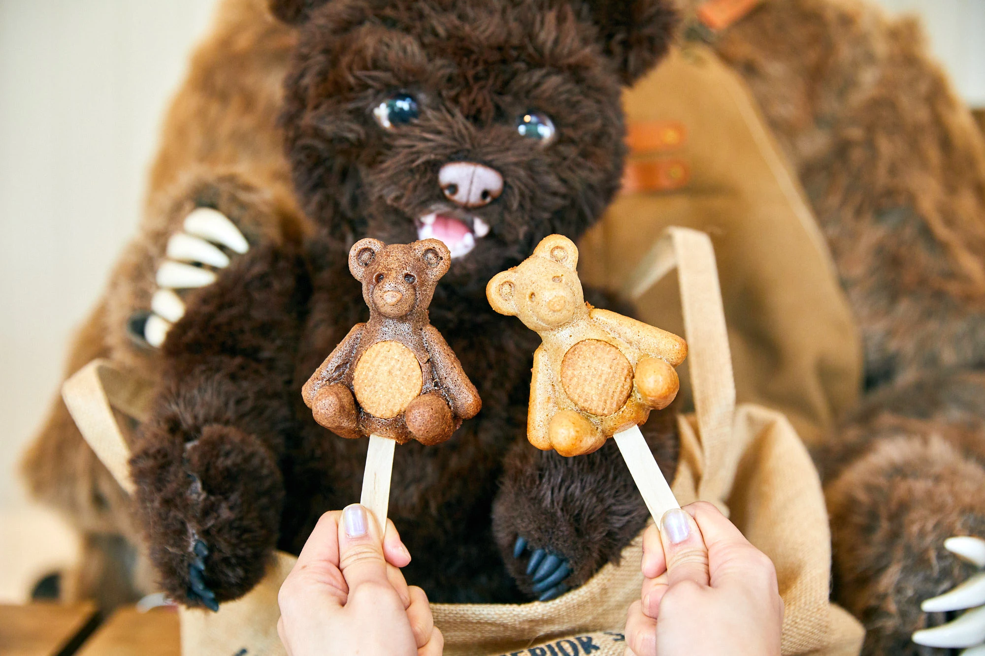 3Dクマの絶品ドーナツ屋「リトルベアマイスター」が神楽坂にオープン