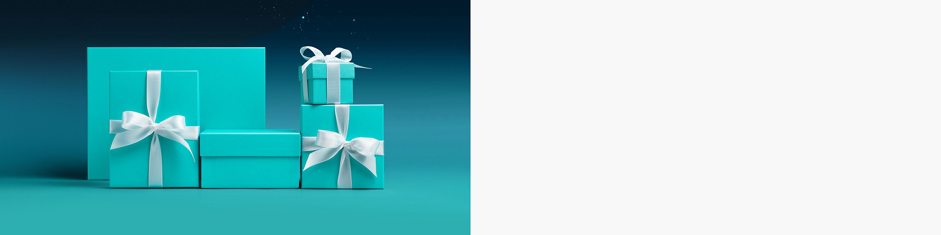 オンライン限定 | Tiffany & Co.