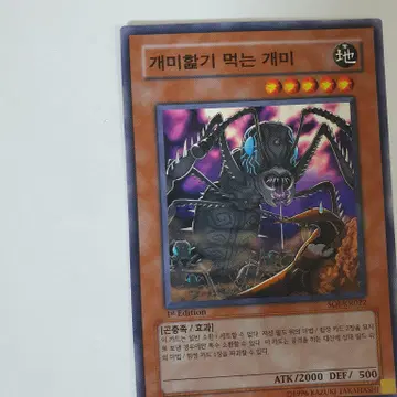 1ST, 노말]soi-kr022 개미핥기먹는개미 [무한의그림자] 유희왕