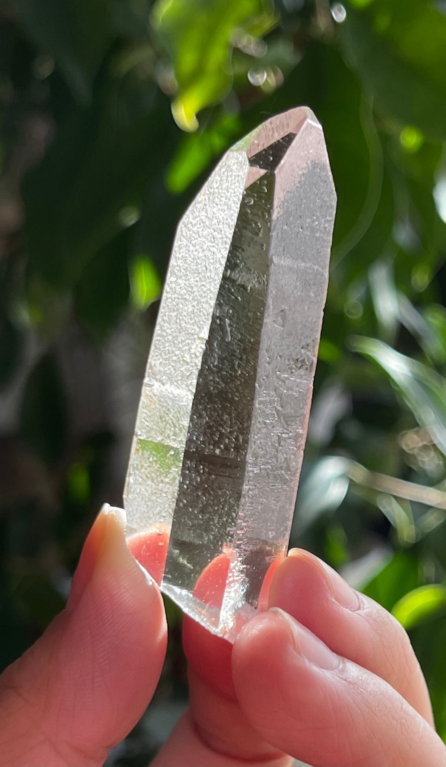 ゼッカデソーザ産♡レムリアンシードクリスタル① – 白金台 黄土漢方