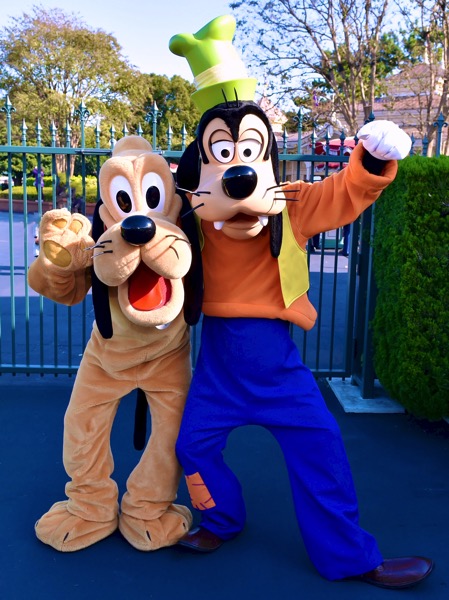 じゃれあうふたりがかわいい☆メインエントランスでグーフィーと