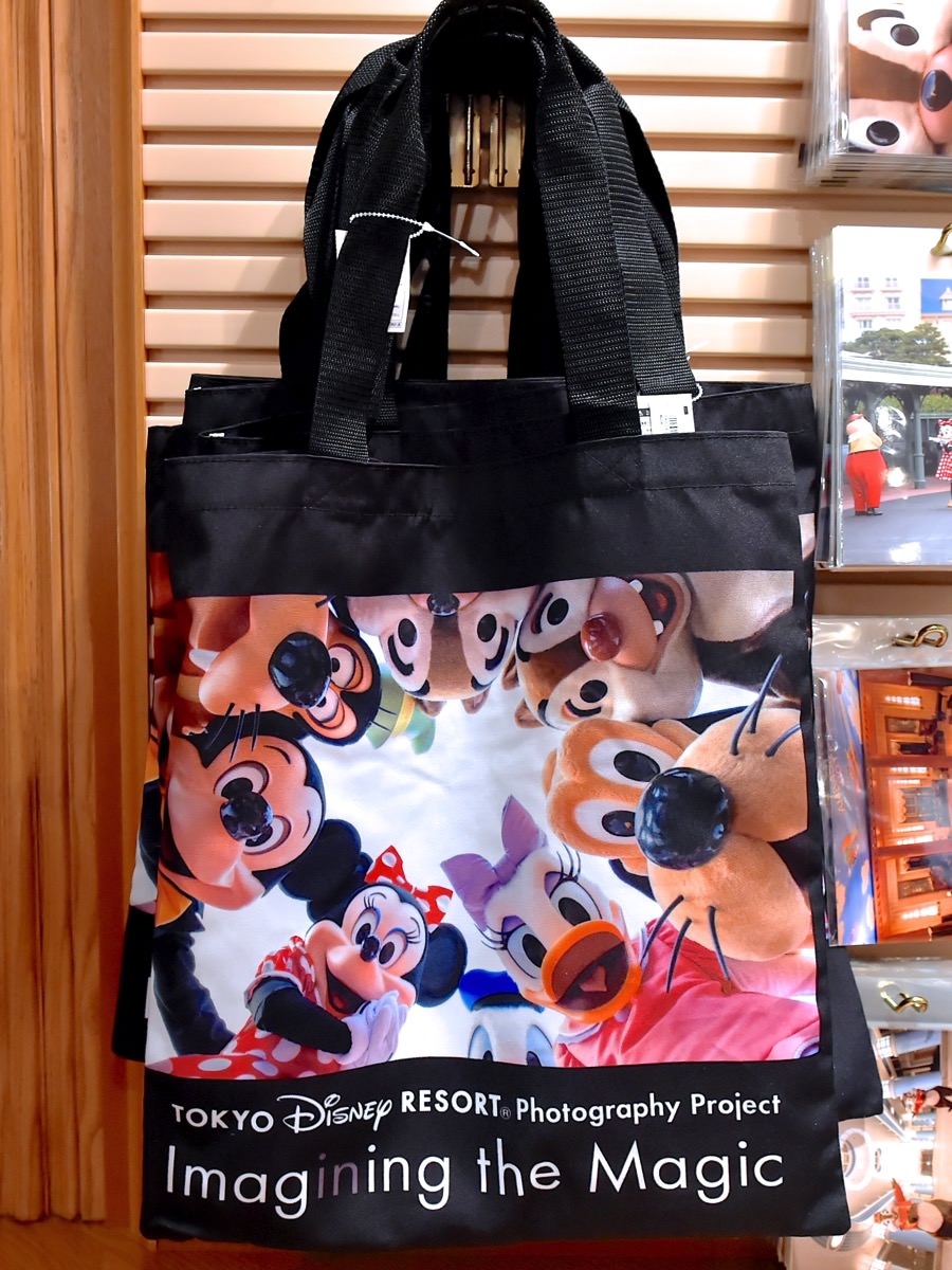 素敵な実写デザインがいっぱい☆ディズニーランド”Imagining the Magic