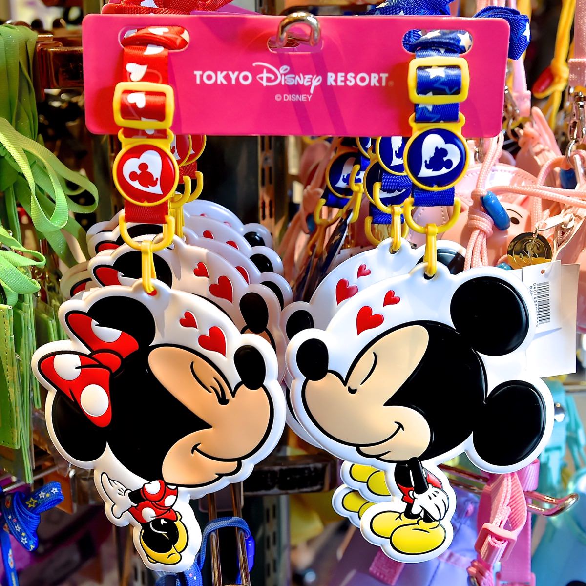 定期入れとしても使いたい☆ディズニーランド2015年秋冬パスケースまとめ -