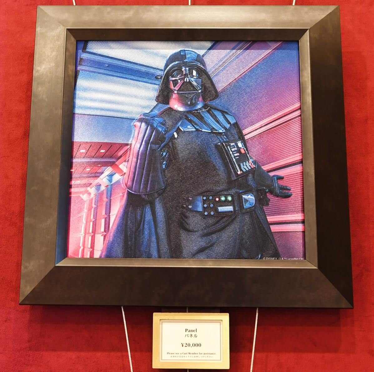 ダース・ベイダーのサイン&ドロイドたちに注目！東京ディズニーランド