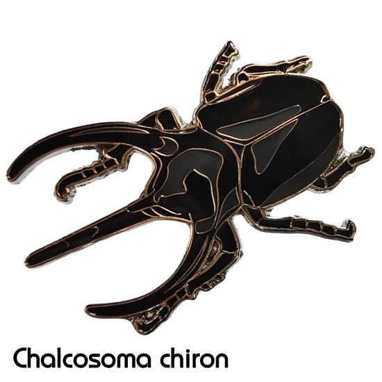 コーカサスオオカブト｜リアルな昆虫ピンズ｜マインドダイレクト【F.C.
