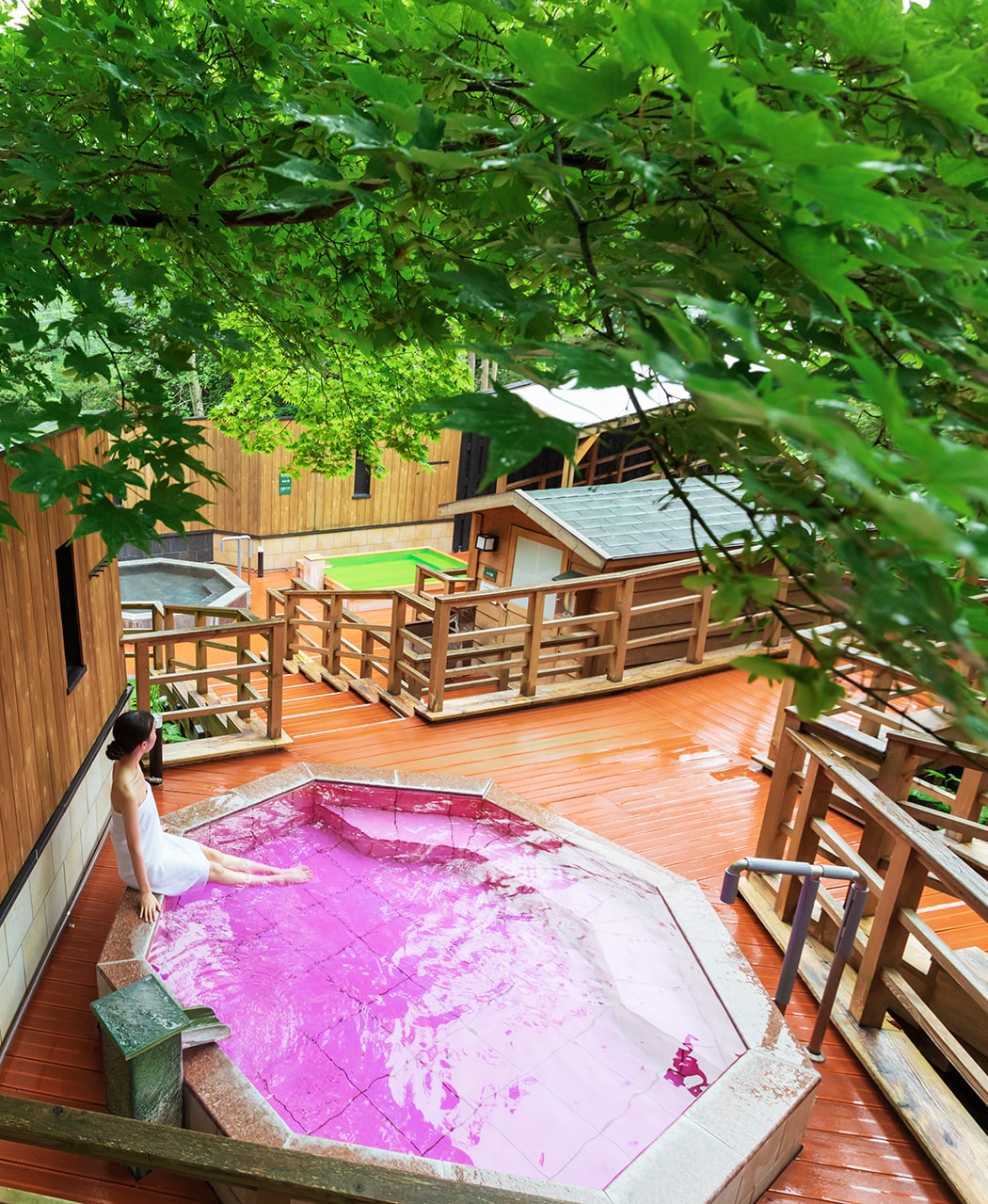 公式・ベストレート保証】緑の風リゾート きたゆざわ