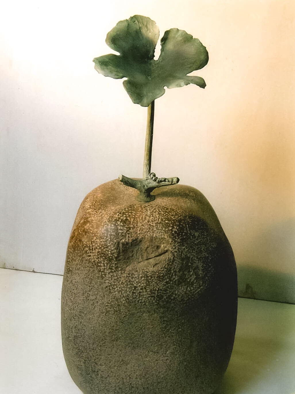 展示のご案内 - Módas モダス