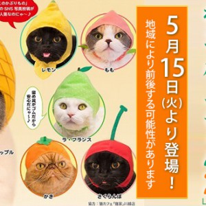 カプセルトイ】「猫」向けコスプレガチャ「かわいい かわいい ねこ
