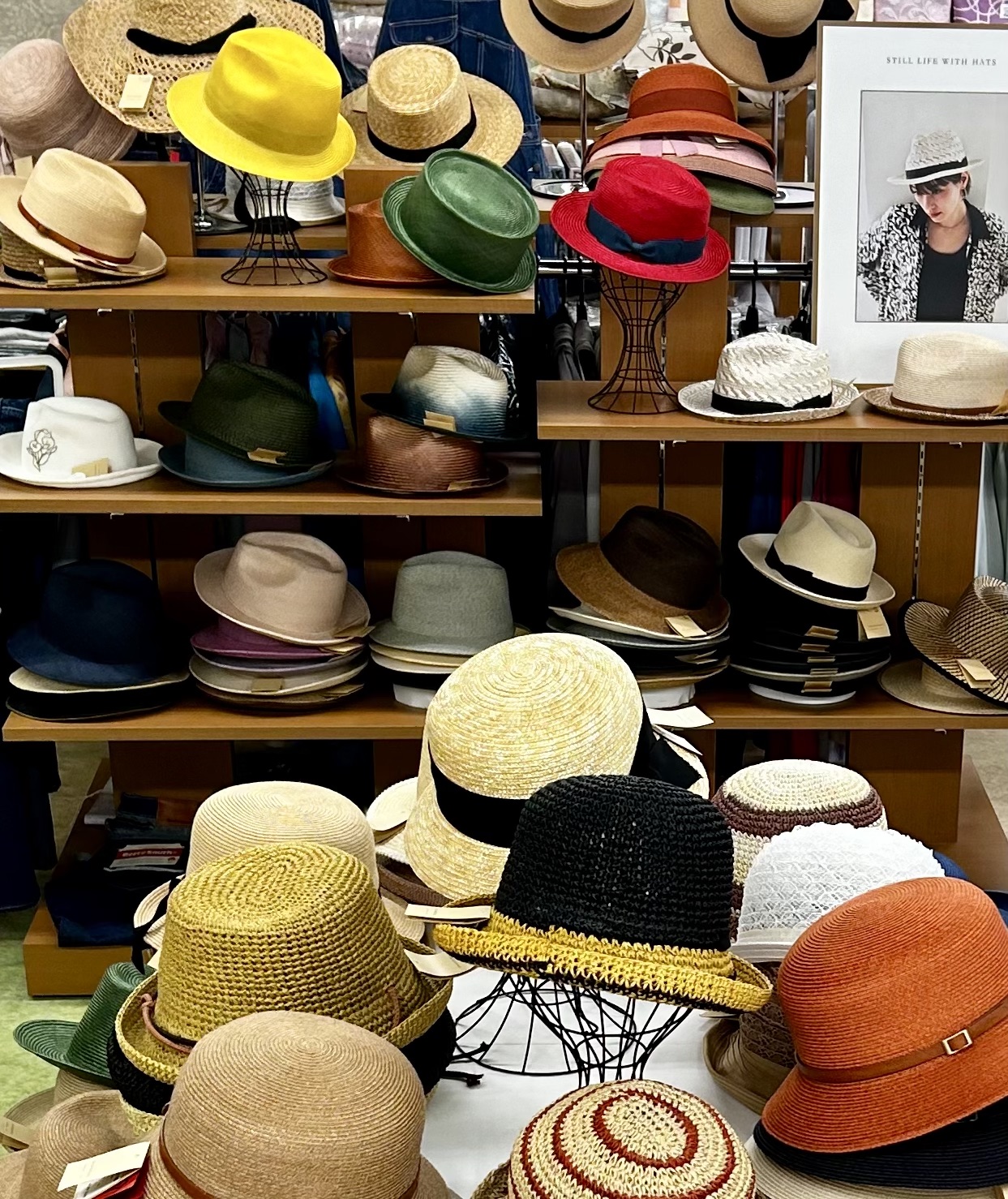 夏到来。 麦わら帽子の出番です！ | MouLa HOKKAIDO