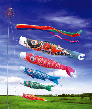 鯉のぼりの販売/徳永こいのぼり金太郎ゴールド鯉/鯉のぼり販売のモリシゲ