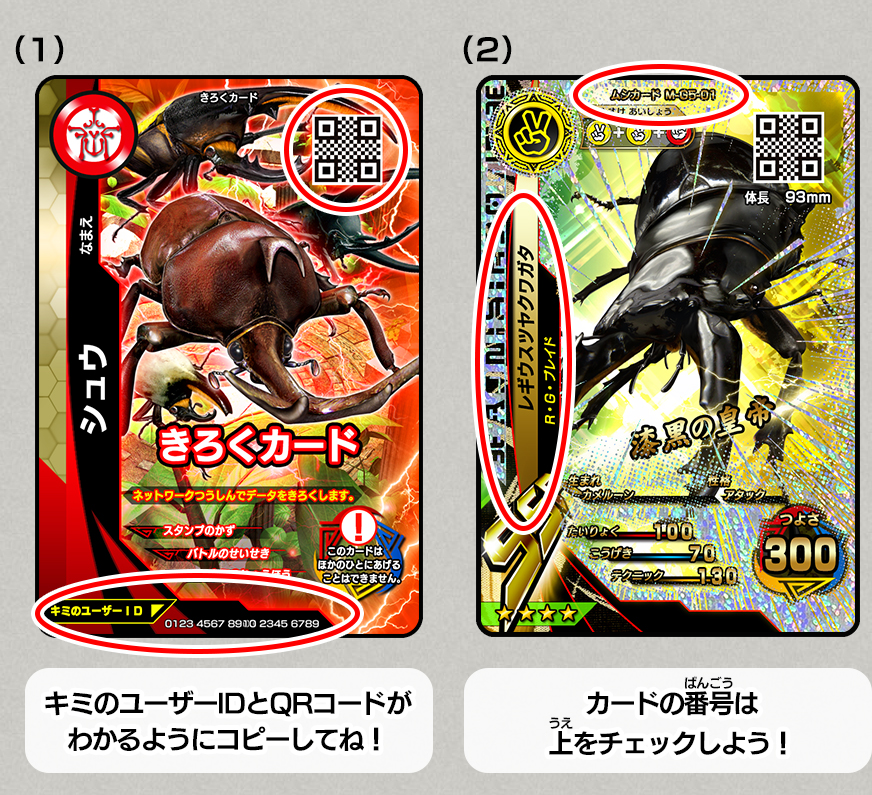 100万人キャンペーン｜大きな大会＆キャンペーン｜新甲虫王者