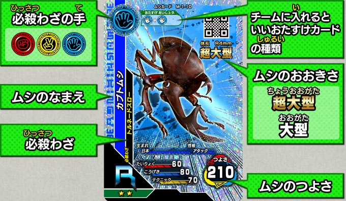 第1回：カードの説明｜ムシキング研究所｜新甲虫王者ムシキング｜セガ