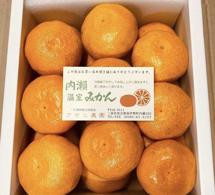 三重県南伊勢町で【内瀬みかん】を育てているアサヒ農園