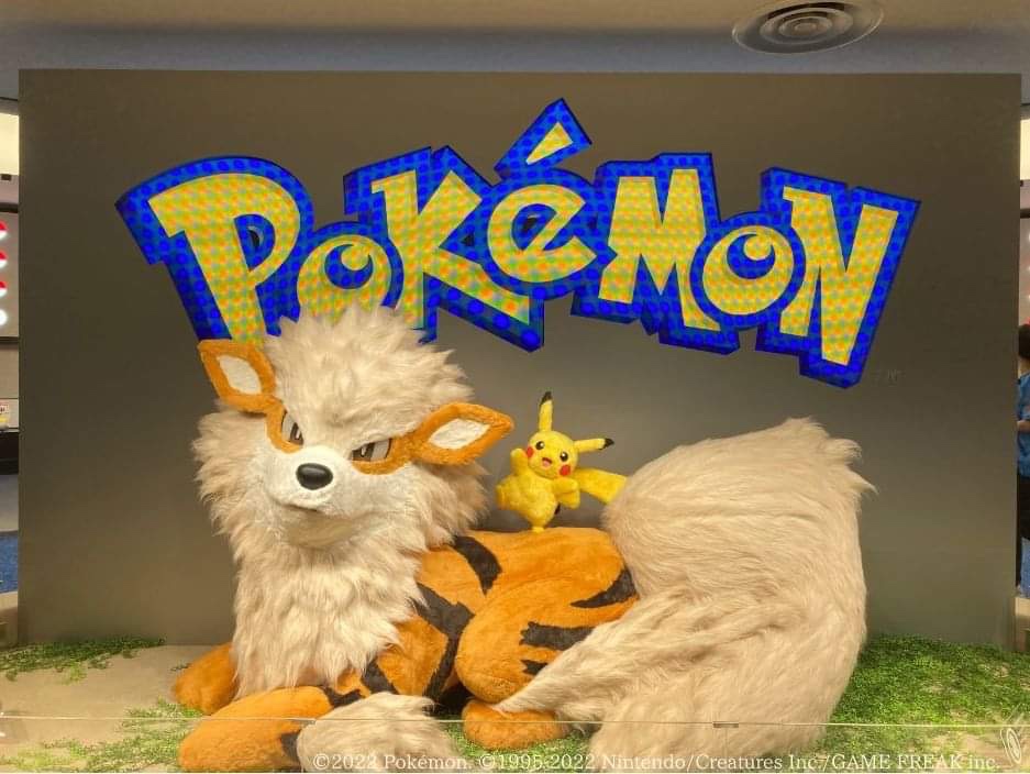 ポケモンセンターオキナワ、オープン！！ | 虹亀商店