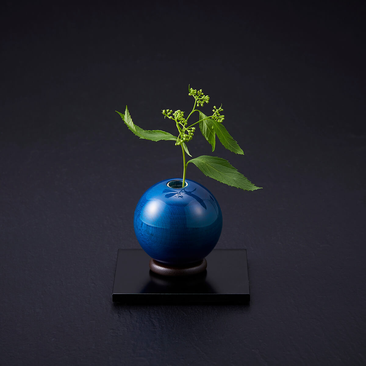 d02b29035829df624259baf728a7e5