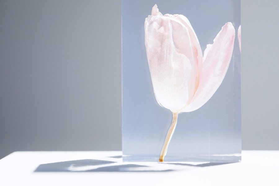 井上 隆夫 Artist / Cinematographer / Researcher of Shiro Kuramata