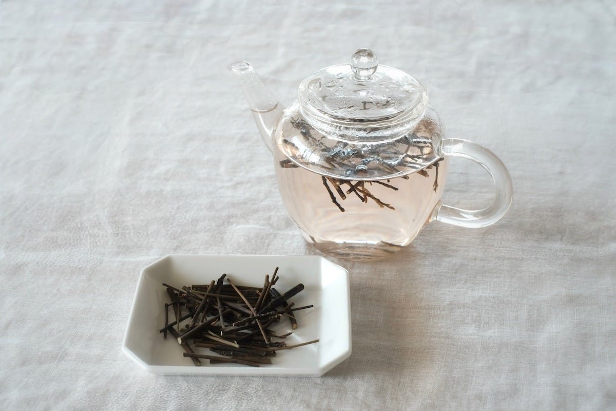 クロモジ シングルオリジン ハーブティー - noi 富士山麓のワイルド