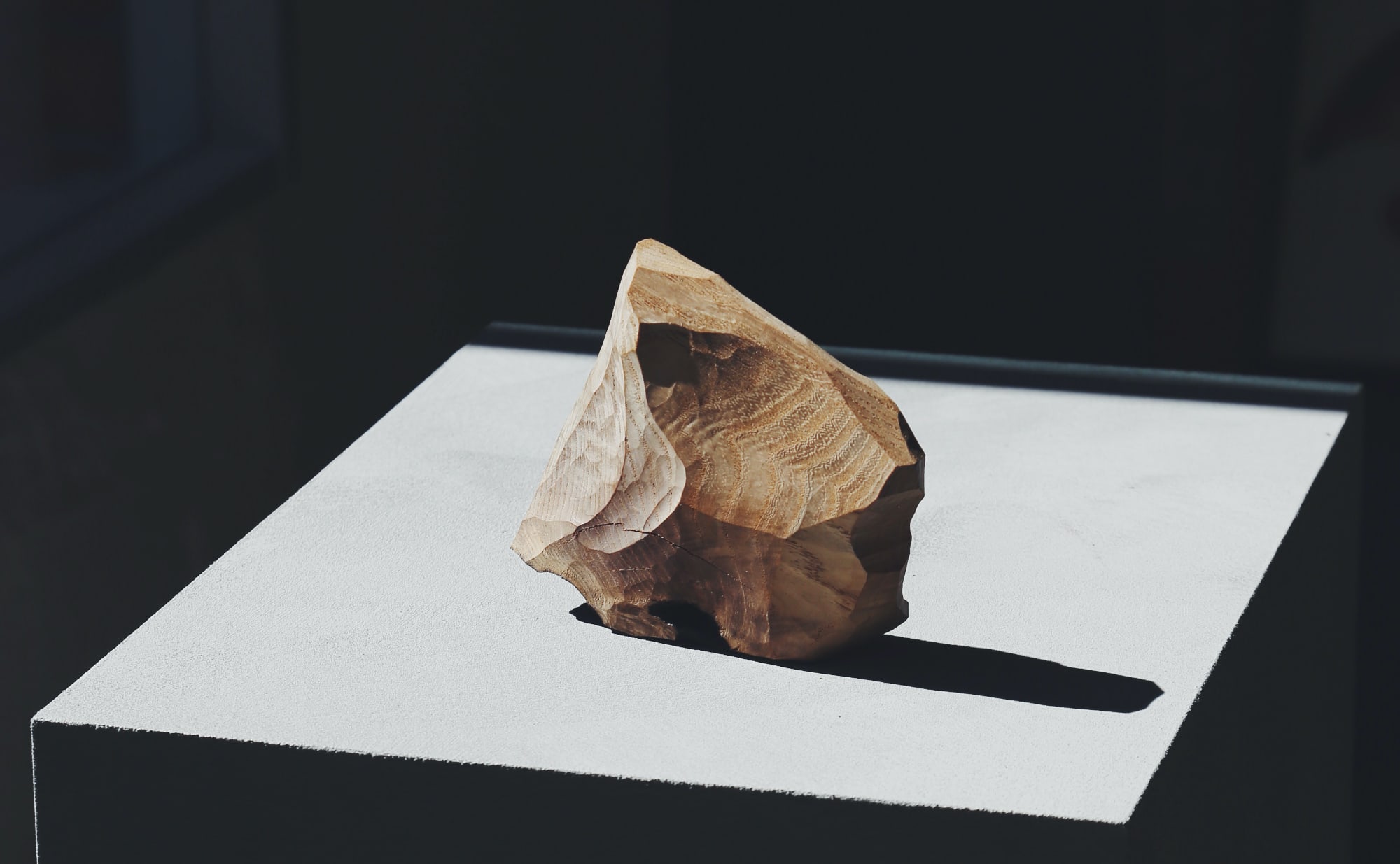 辻有希個展「かたちをきく」 | nostos books ノストスブックス