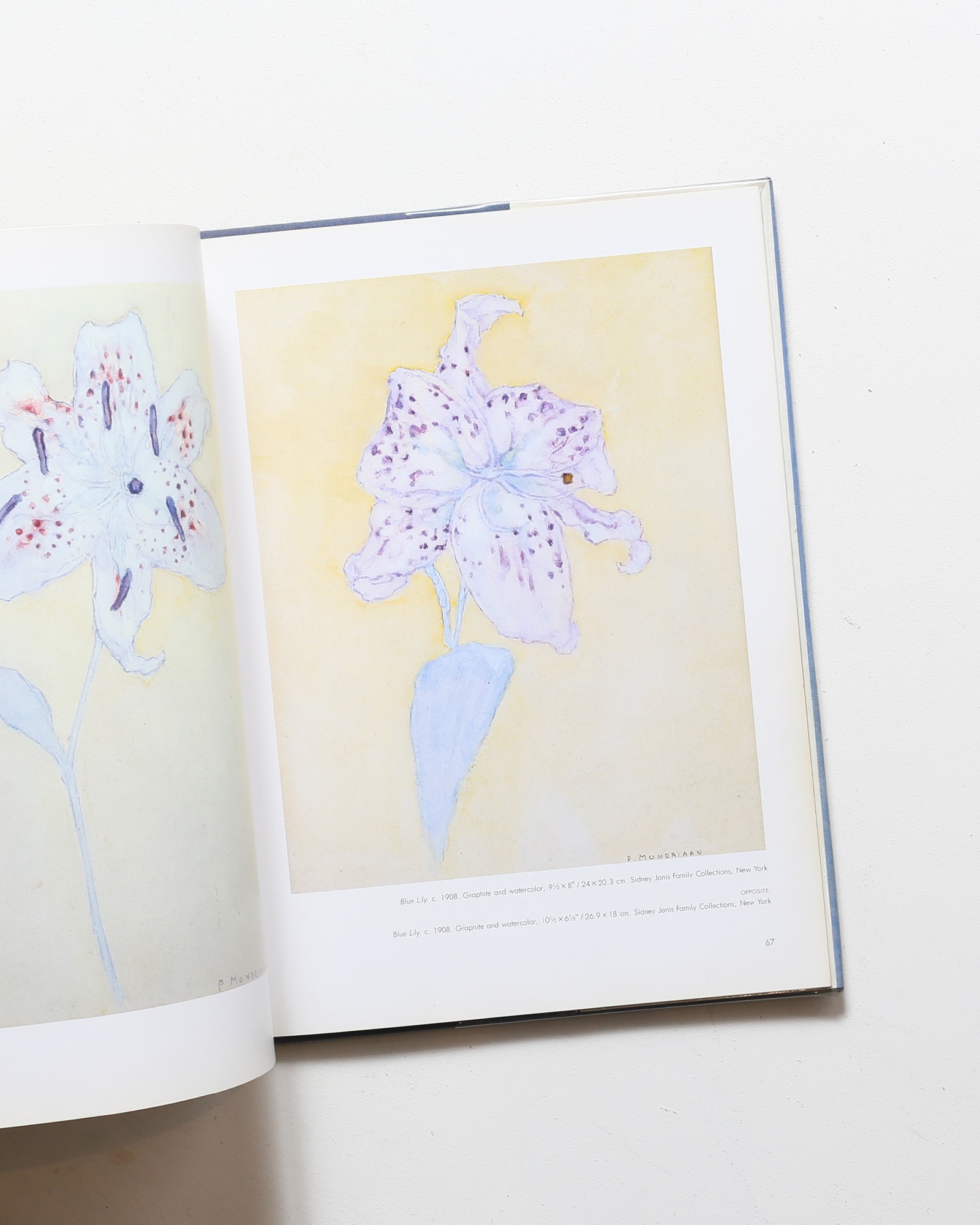 Mondrian: Flowers | ピエト・モンドリアン | nostos books ノストス