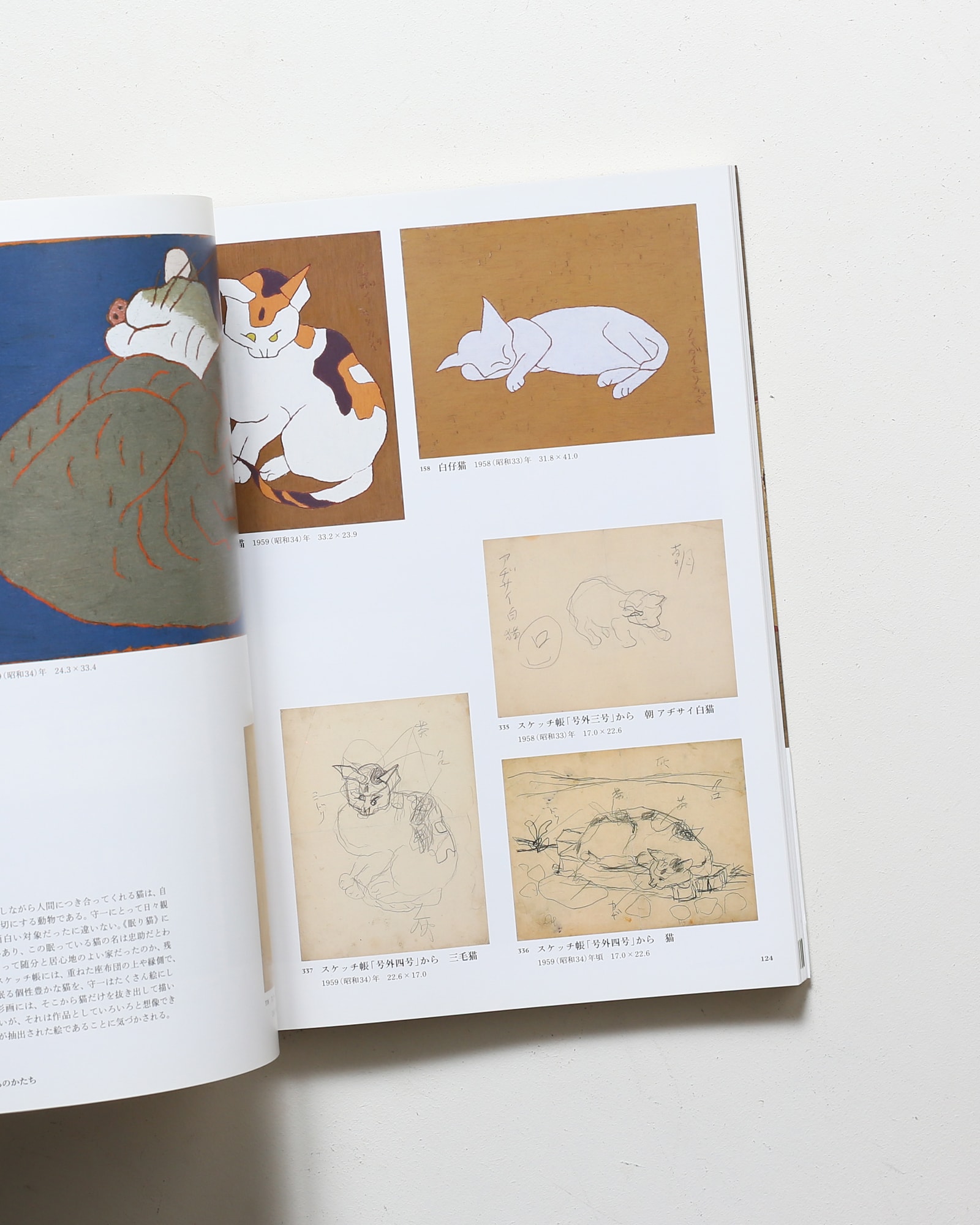 守一のいる場所 | 求龍堂 | nostos books ノストスブックス