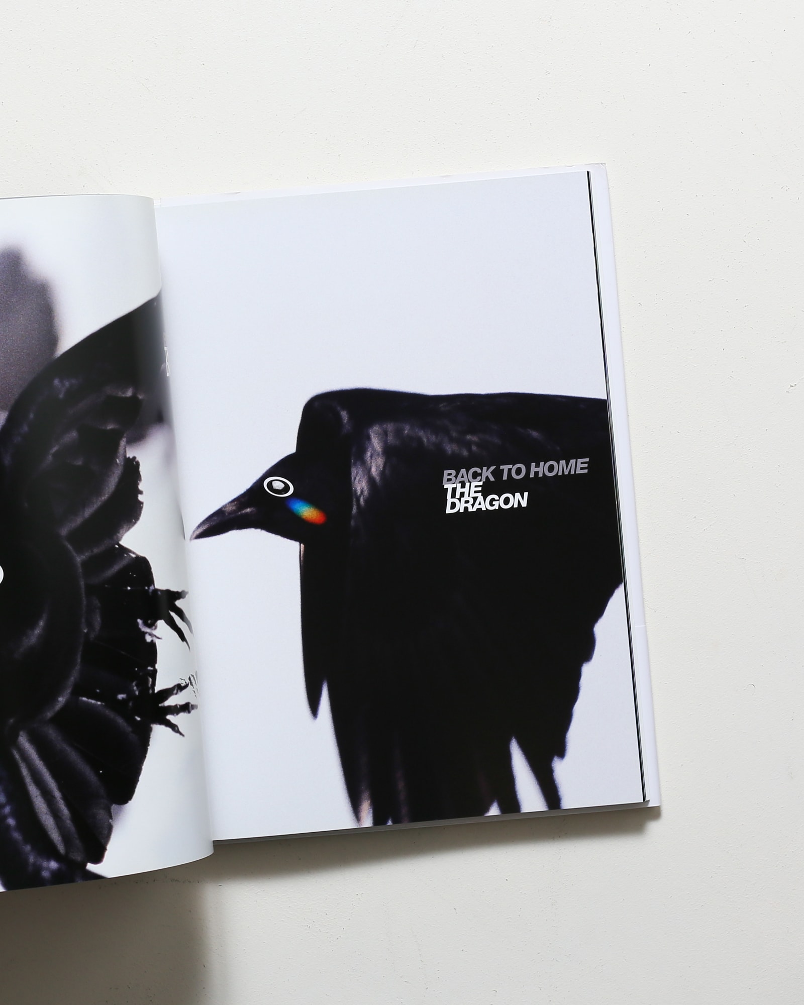 井上嗣也作品集 Inoue Tsuguya Graphics Talking the Dragon | nostos