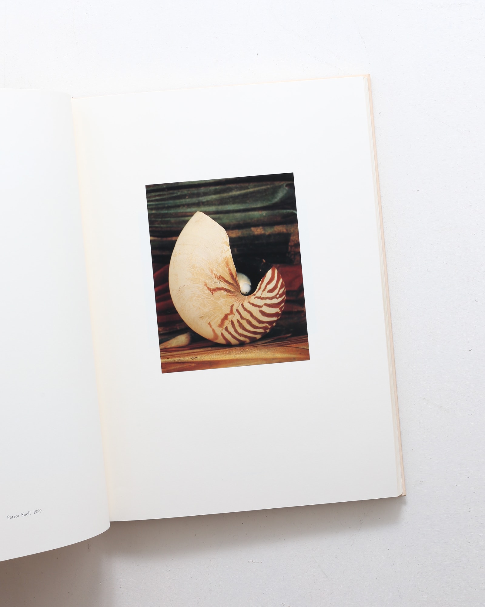 Into The Silent Land | 上田義彦 | nostos books ノストスブックス