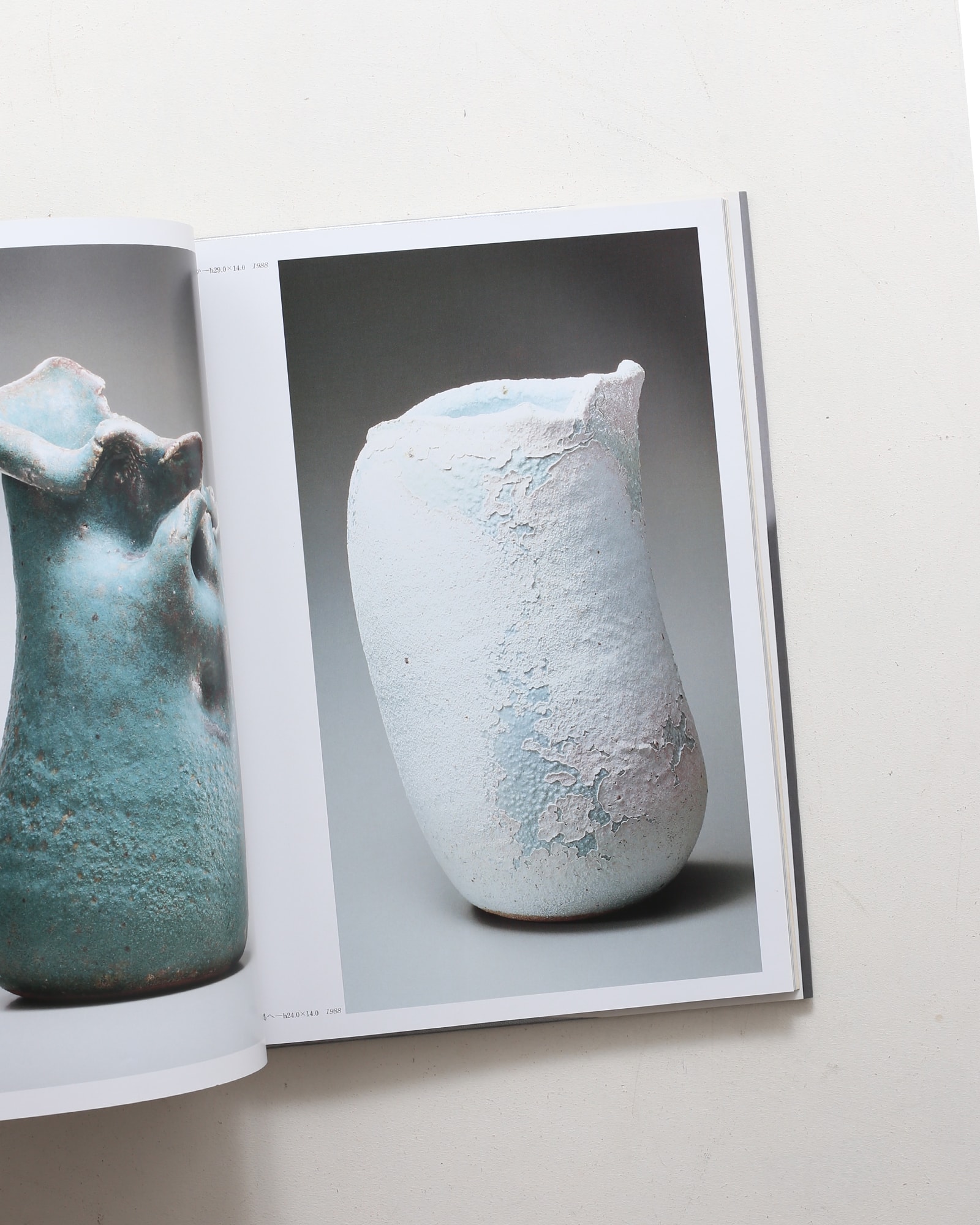 陶 長倉翠子 | nostos books ノストスブックス