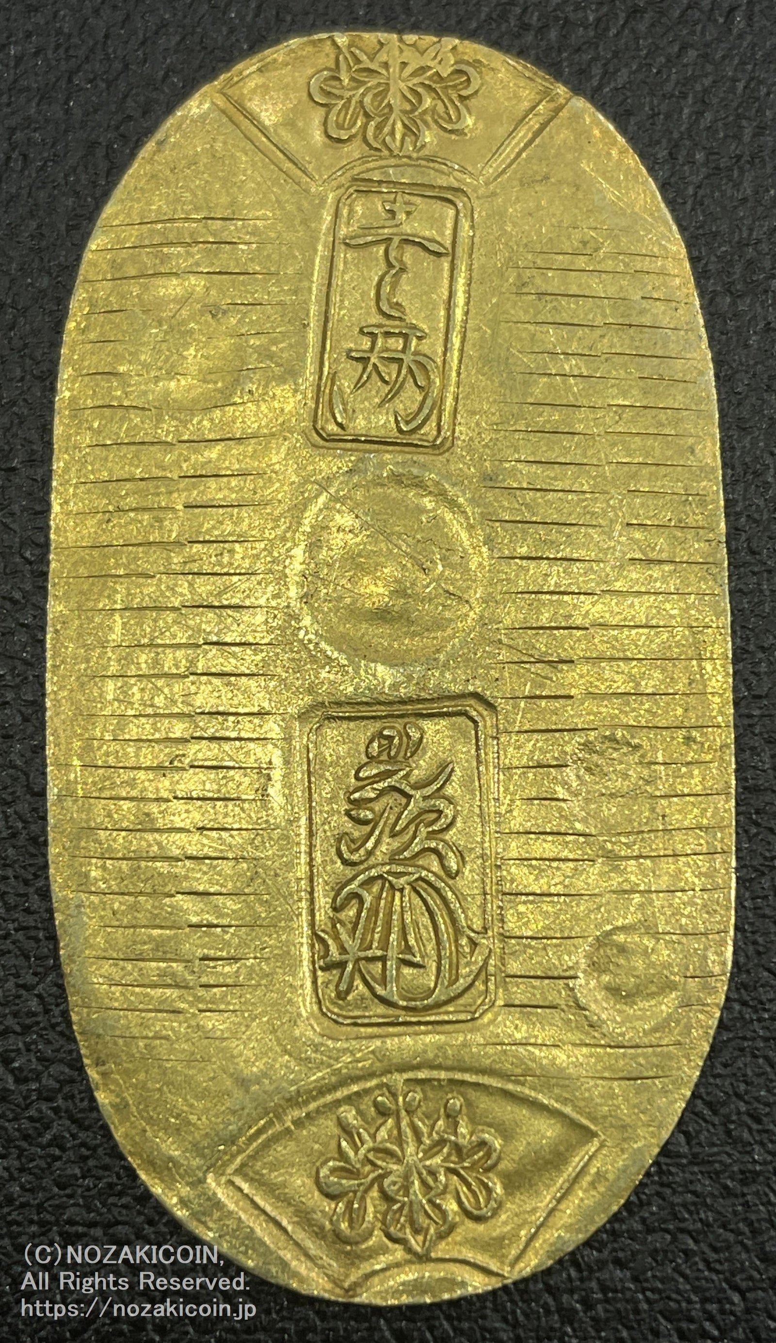 IMG_5614_1600x.jpg?v=1698391924