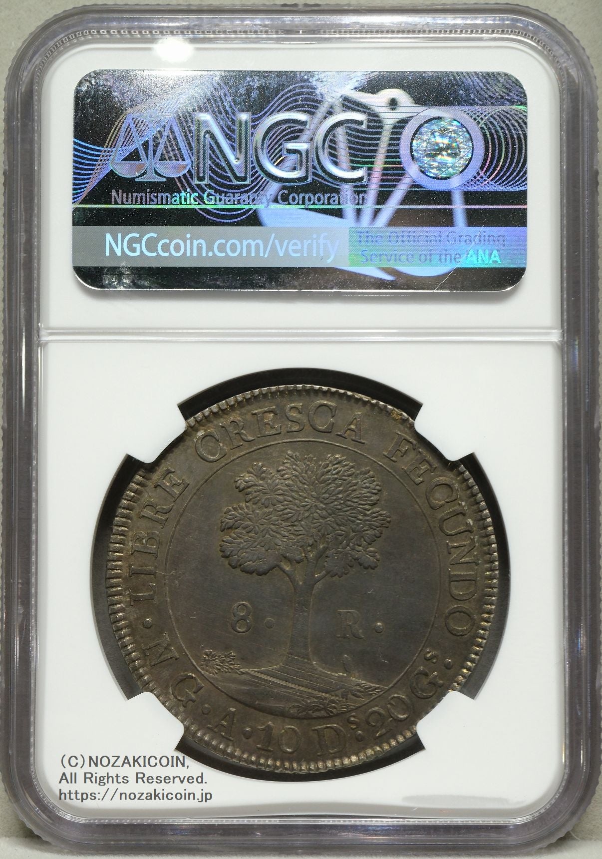 中央アメリカ 8レアル銀貨 1847/6年 NGC MS62 – 野崎コイン