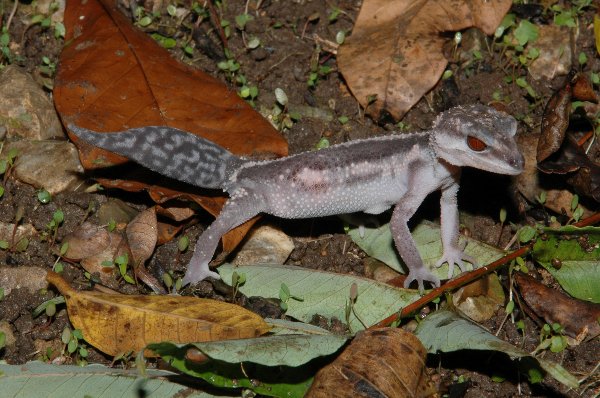 お墓めぐりのこと | 学芸員コラム | 沖縄県立博物館・美術館（おきみゅー）