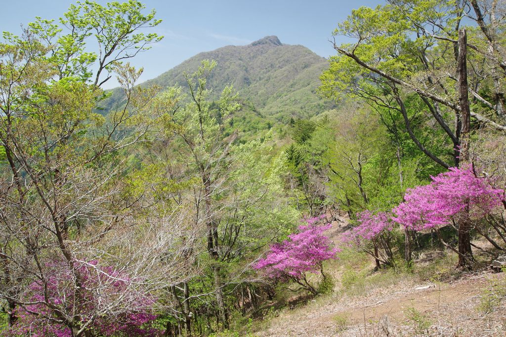古祖母山 - スポット - オオイタおそと時間