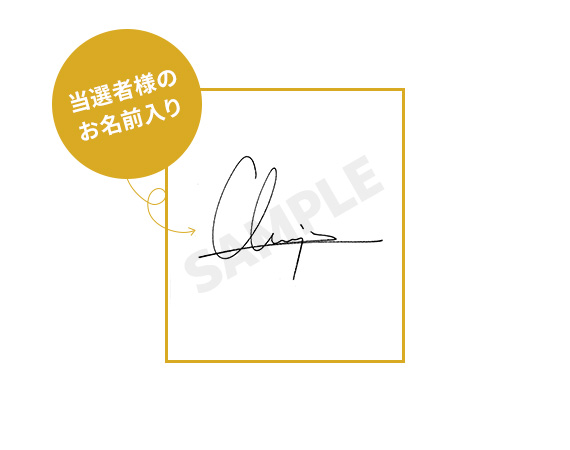 Stray Kids World Tour 'District 9 : Unlock' IN JAPAN オンラインくじ