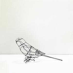 山田一成 | ワイヤーアート インコ｜【公式】ACTUS online｜家具