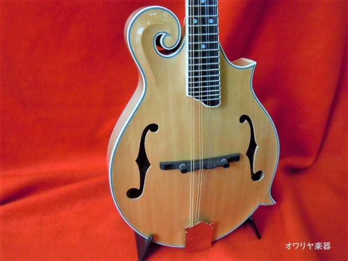 フラットマンドリン総単板シダー・ハードケースセット f60 ナチュラル