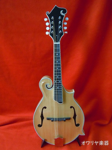 フラットマンドリン総単板シダー・ハードケースセット f60 ナチュラル