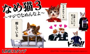 マジでなめんなよ」なめ猫LINEスタンプ第3弾配信開始！ | おたくま経済新聞