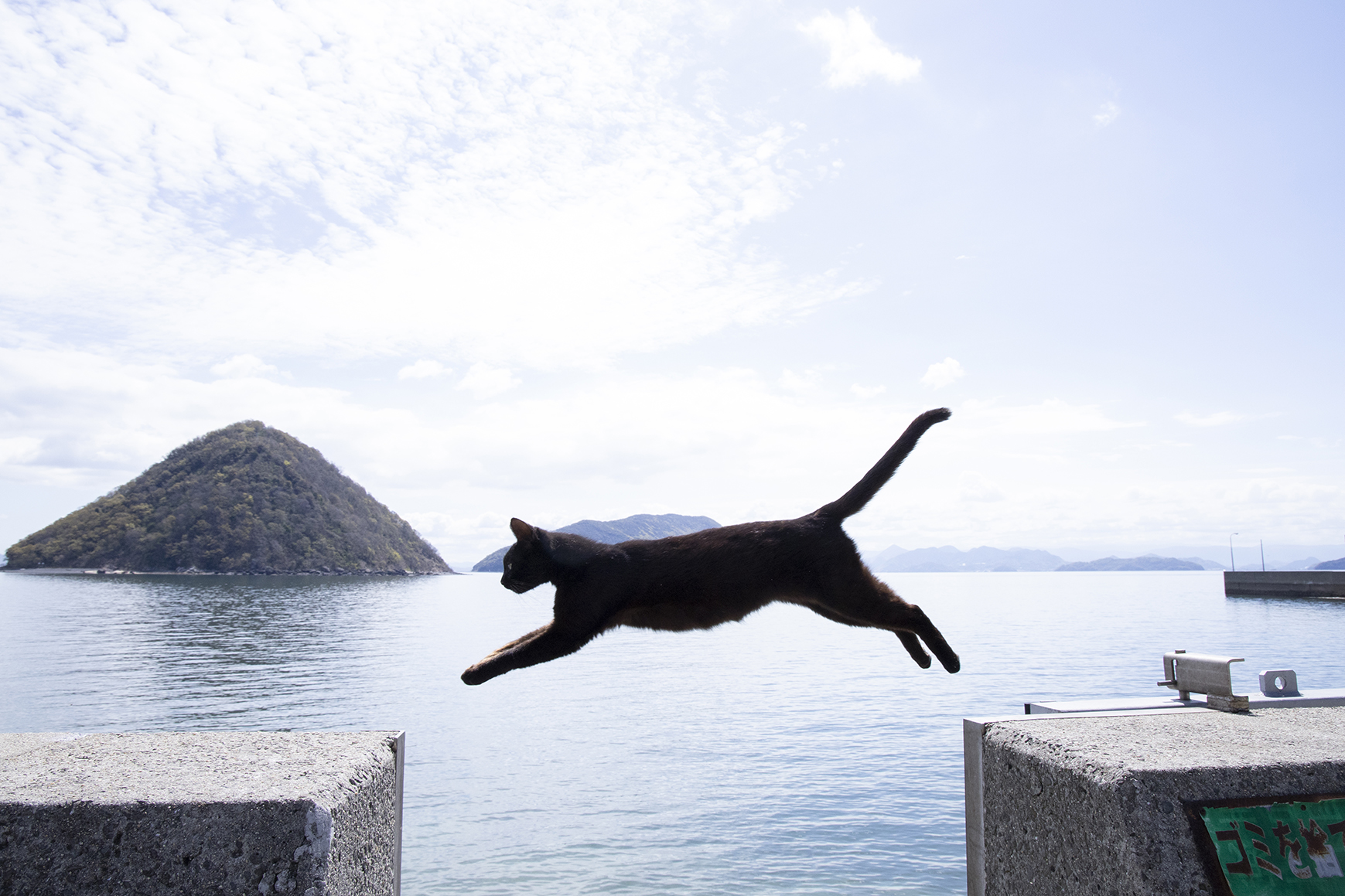 旅のキヲク＃空飛ぶ猫のいる島』 | Northmall+（ノースモールプラス）